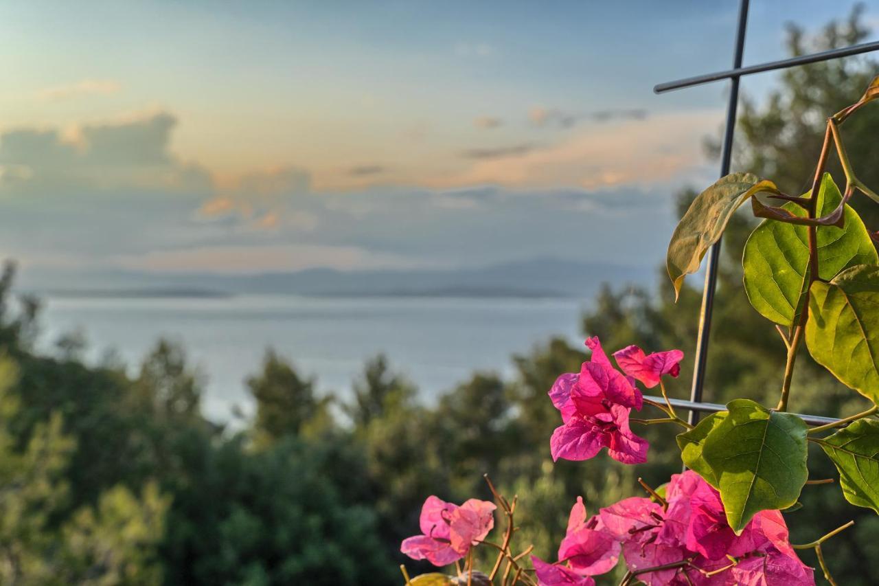 Holiday House Sunset Haven Estate Сутиван Экстерьер фото